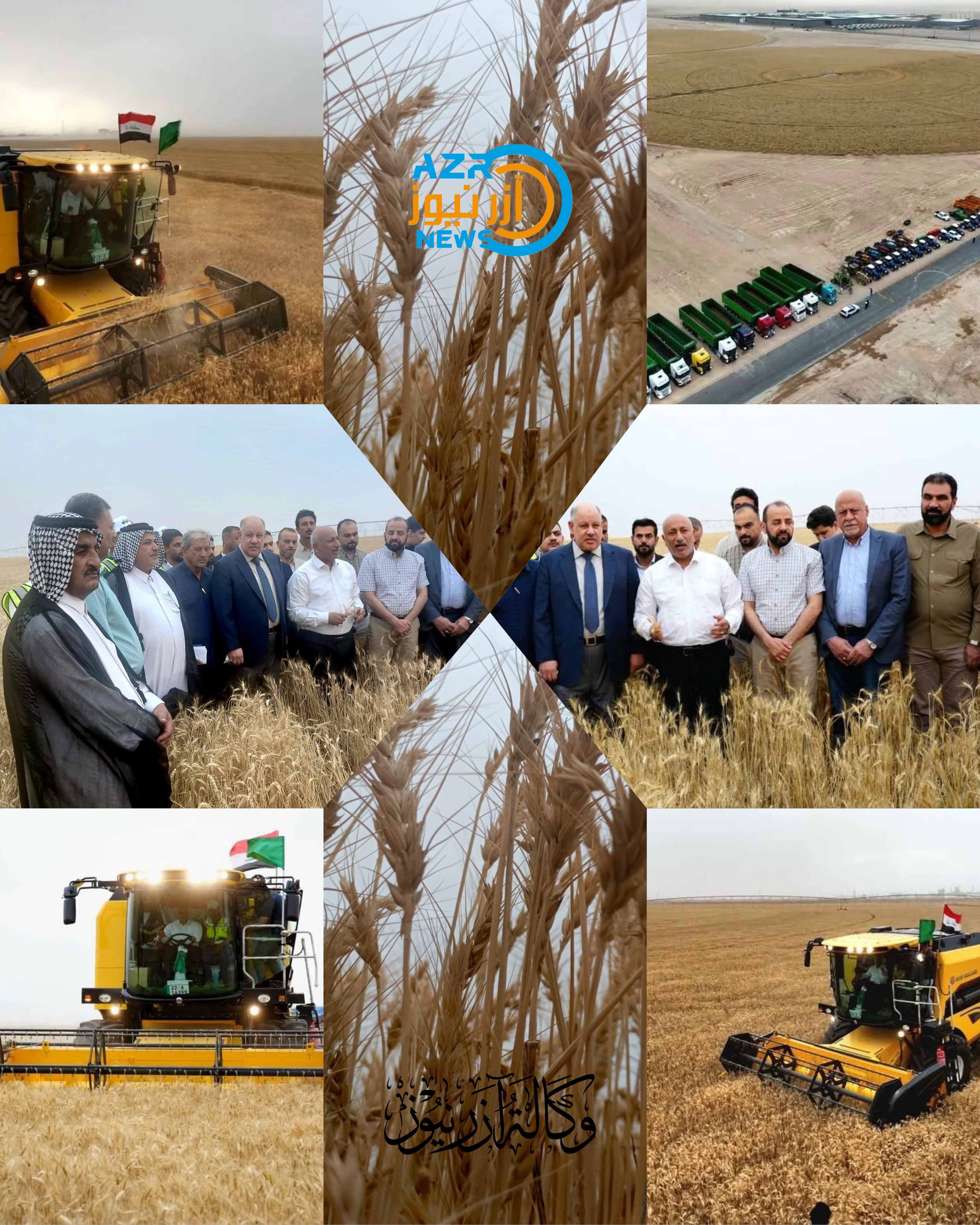 بدء موسم الحصاد لمحصول الحنطة في كربلاء المقدسة والجمعيات الفلاحية تطالب بتوفير الدعم اللازم